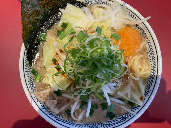 「野菜肉そば 869円」@丸源ラーメン 日立店の写真