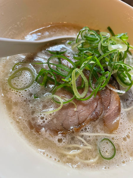 「博多豚骨らーめん」@幸心堂の写真