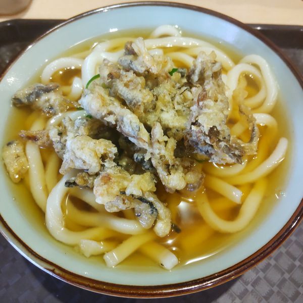 「かけ（￥350）」@うどん 038の写真