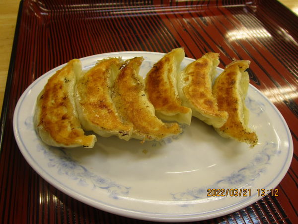 「焼き餃子 260円」@ぎょうざの満洲 福生西口店の写真