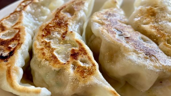 「獅丸餃子・・・その他諸々（詳細はラーメンデータベース）」@餃子や 獅丸の写真