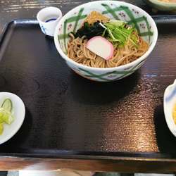 冷やしたぬきそば