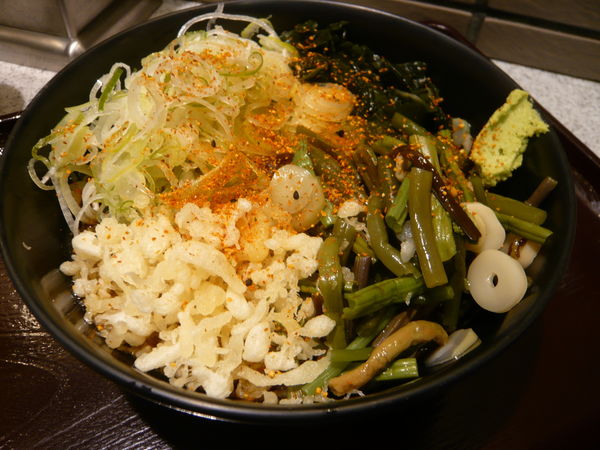 「冷やし山菜そば（温玉抜き、ネギ盛り）」@そば処 かめや 新橋店の写真