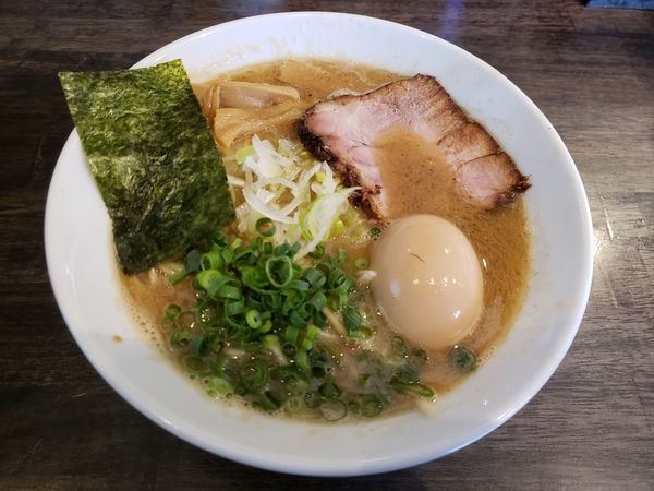 「味玉中華そば」@吉田食堂の写真