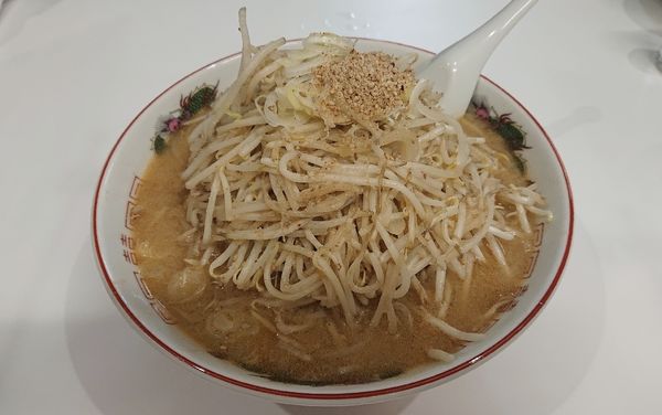 「みそラーメン めん大盛&もやし大盛   900円」@えぞっ子 見和店の写真