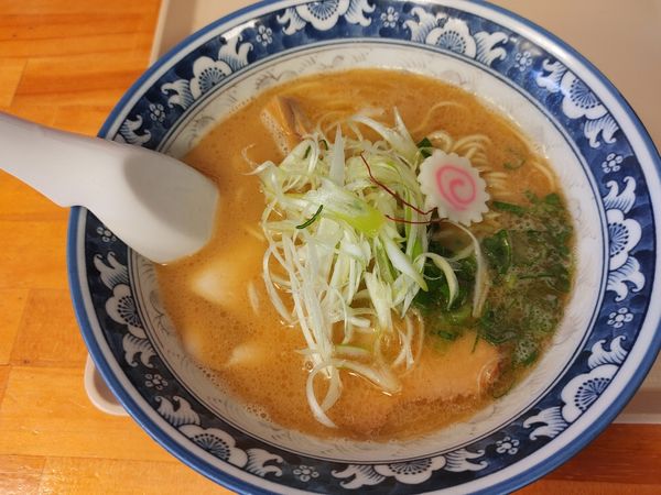 「鶏白湯」@らぁ麺食堂 井澤の写真