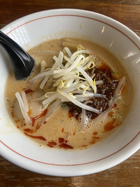 「ひとしお担々麺」@らーめん ひとしおの写真