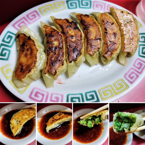 「焼き餃子(6個) 500円」@龍王の写真