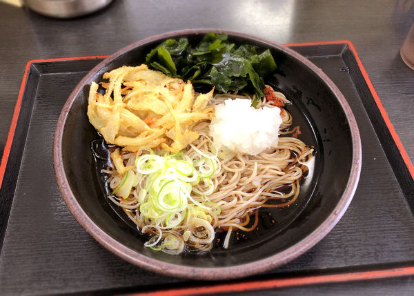 「朝そば(鬼おろし・370円)+わかめ(クーポン)」@ゆで太郎 松戸本町店の写真