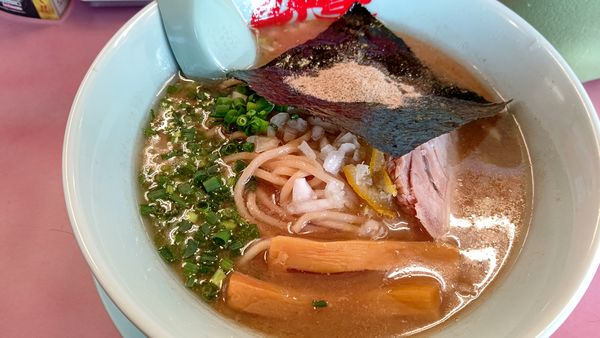 「煮干し豚骨ラーメン」@山岡家 平塚店の写真