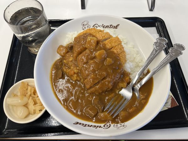 「ロースカツカレー 950円」@オリエンタルカレー＆焼きスパ 養老SA下り店の写真