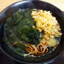 三陸わかめそば（460円）