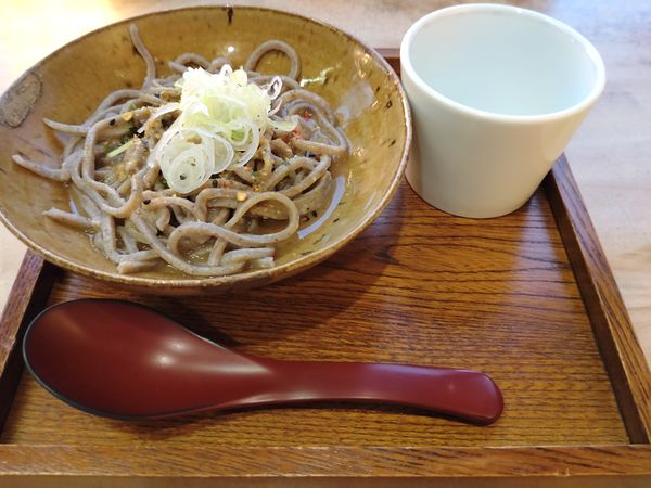 「江戸名残りのぶっかけ蕎麦（半盛）　６００円　※」@手打そば 大庵の写真