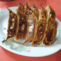 餃子　中10個500円