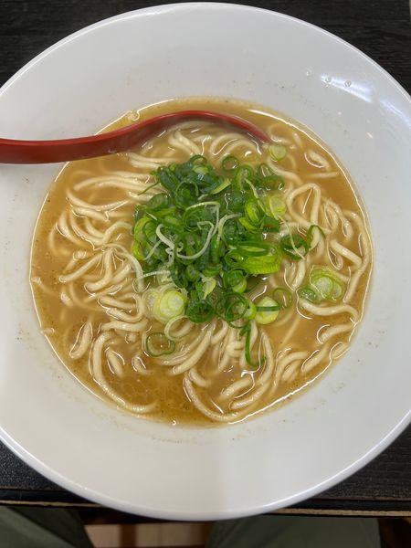 「九条ネギラーメン（大盛）」@らーめん じゃげな 南箕輪店の写真
