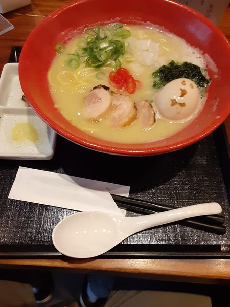 「鶏煮干しらぁめん大盛、味玉、生青のり、小ライス」@麺や いま村の写真