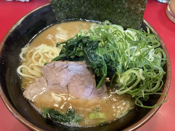 「ラーメン並　ほうれん草　九条ネギ」@らーめん 谷瀬家 新橋店の写真