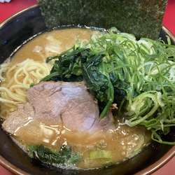 ラーメン並　ほうれん草　九条ネギ