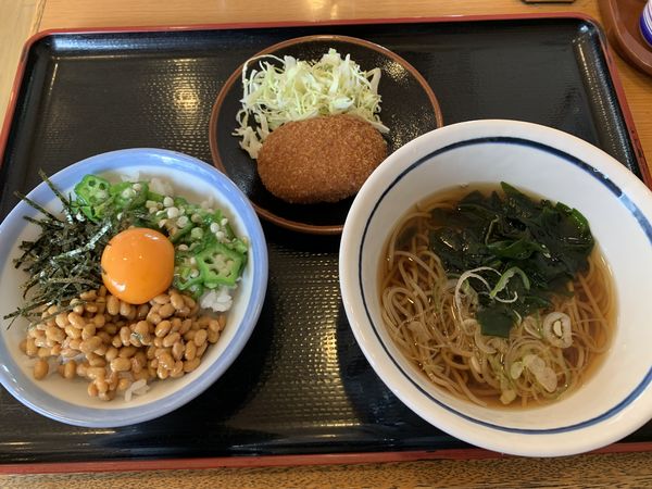 「ハーフそば220+ミニ納豆オクラ丼280=500円」@山田うどん 北中店の写真