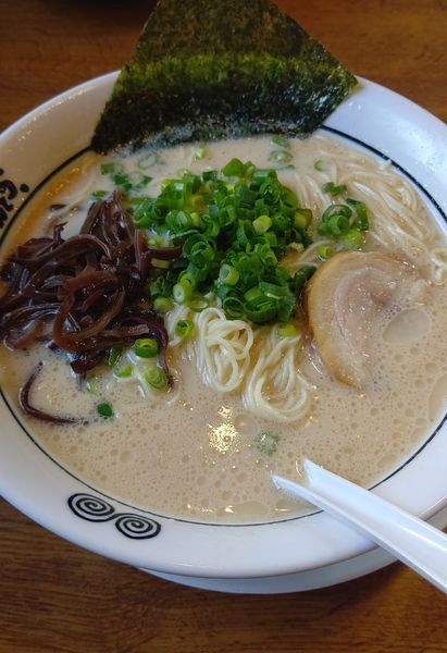 「豚骨らーめん(大盛)」@東京とんこつ とんとら 天川大島店の写真