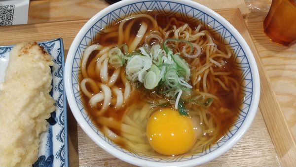 「かけ2種盛り（う中）690円、生たまご100円、ささみ天30」@長命うどん 東京本店の写真