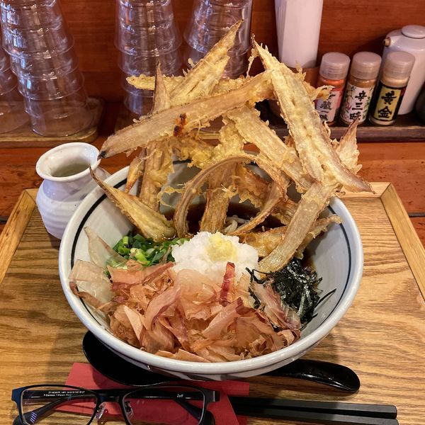 「ごぼうおろしぶっかけ」@九州豊前うどん 武膳 神田小川町店の写真