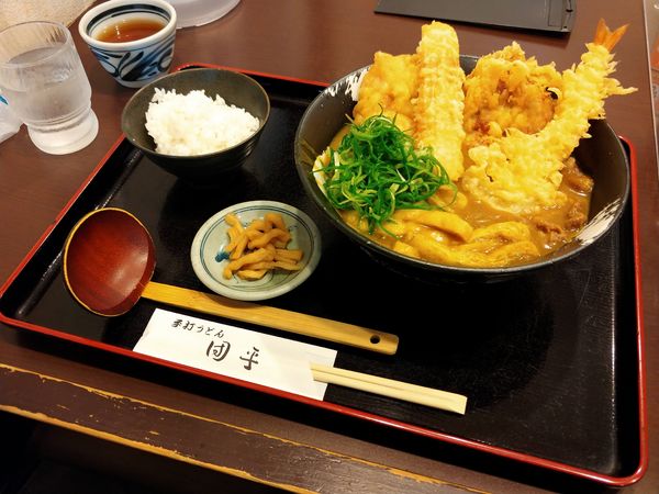「とりちく天カレーうどん」@手打ちうどん 団平の写真