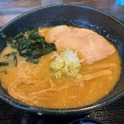 味噌ラーメン　麺硬め　細麺