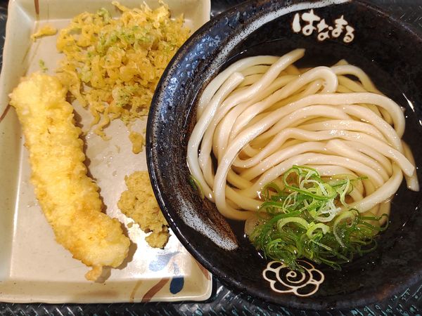 「冷やかけ340円イカ天【定期券】」@はなまるうどん イオンモール千葉ニュータウン店の写真