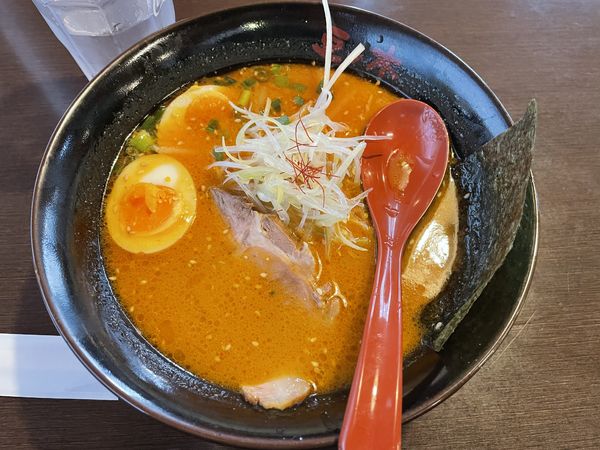 「濃厚味噌ラーメン＋煮卵」@小樽らーめん 豆の木 蓮田店の写真
