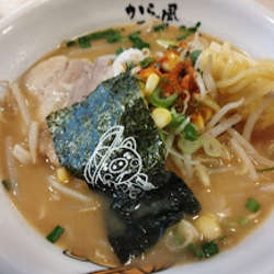 みそラーメン(790)