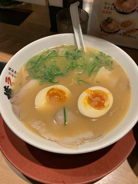 「ラーメン日替わり丼セット」@ラーメン横綱 阪急三番街店の写真