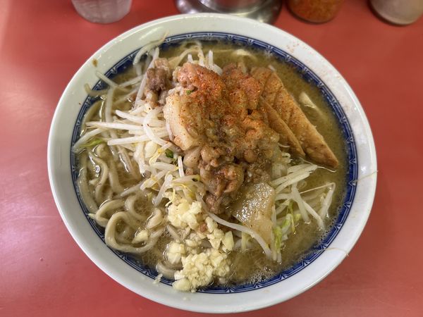 「小ラーメン(麺少な目.ニンニク少し.アブラ)800円」@ラーメン二郎 桜台駅前店の写真