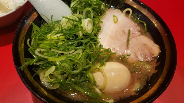 「特選ラーメン 並」@ラーメン 菊池家の写真