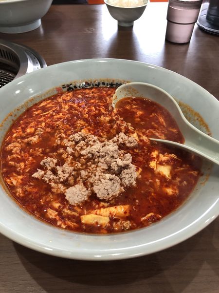 「タンタンメン　大辛　ひき肉ダブル」@元祖ニュータンタンメン本舗 宮野木店の写真