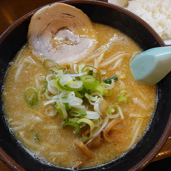 「背脂みそらーめん（太麺）800円 + サービス半ライス」@麺屋 亥龍の写真