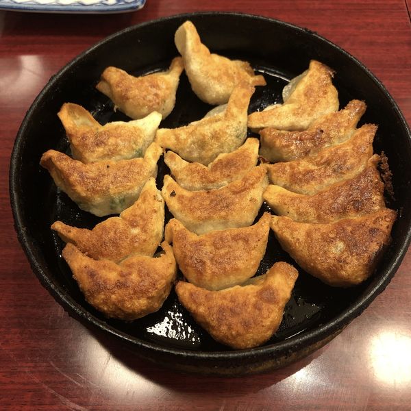 「鉄なべ餃子（二人前16ヶ）」@小倉 鉄なべ 総本店の写真