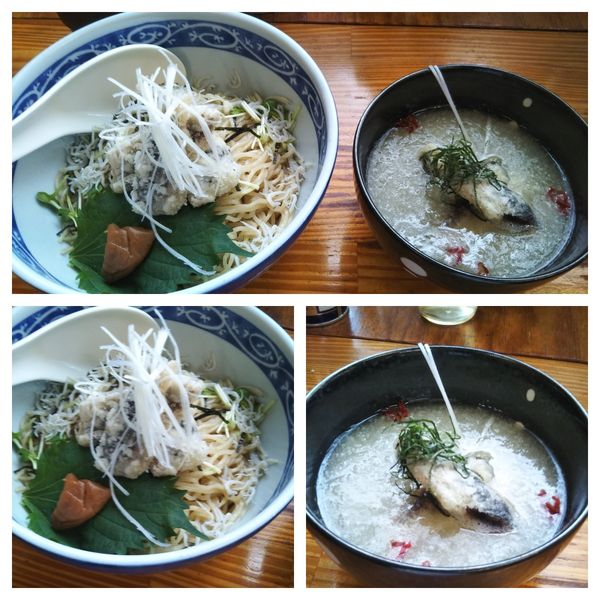 「鰯としらすの冷やしみぞれつけそば南高梅添え」@中華そば よしかわの写真