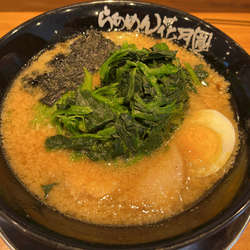 醤油ラーメン　麺硬め