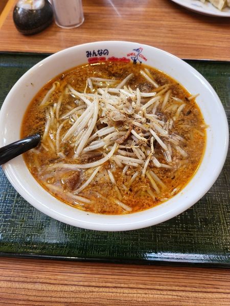 「スパイシーもやし炒めらーめん」@テンホウ 南宮店の写真