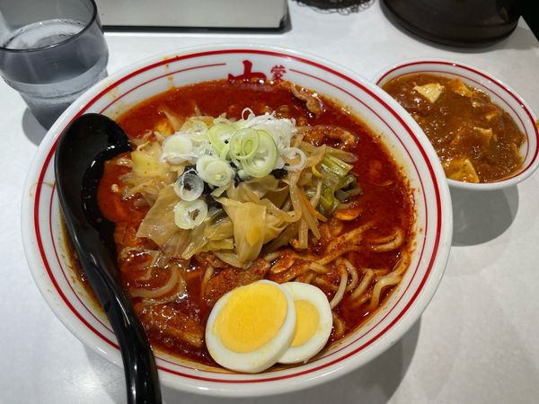 「北極やさい　単品麻婆豆腐」@蒙古タンメン 中本 錦糸町店の写真