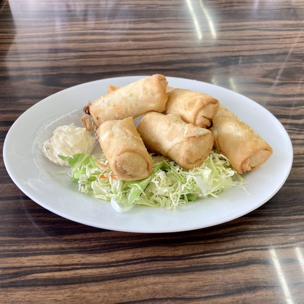 「あげギョーザ￥450」@手打ちラーメン 足利麺の写真