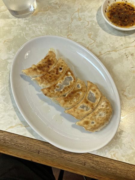 「肉餃子」@餃子の王さまの写真