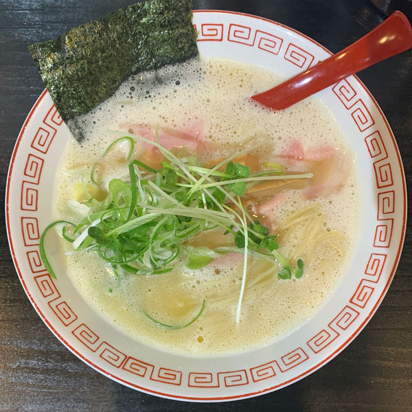 「中華そば鶏白湯」@らぁ麺すみれ堂の写真