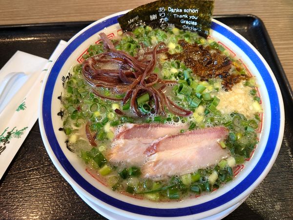 「ネギラーメン（１０００円）」@中華そば専門 田中そば店 ダイバーシティ東京プラザ店の写真