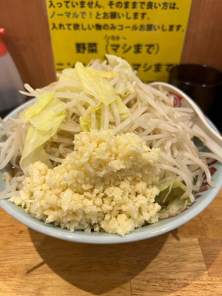 「大ラーメン400g」@自家製麺 毘舎利の写真