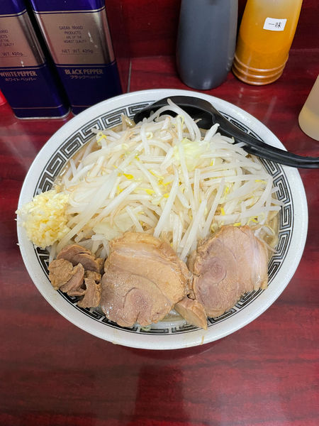 「ラーメン(740円)＋大盛り(100円)」@麺屋 臥竜の写真