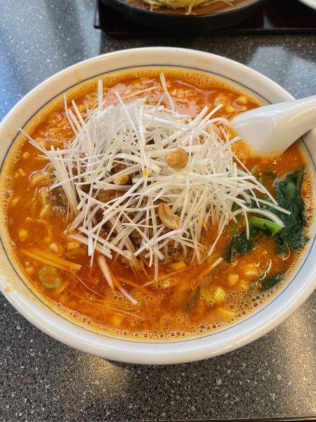 「四川担々麺（大盛）」@龍巳飯店の写真