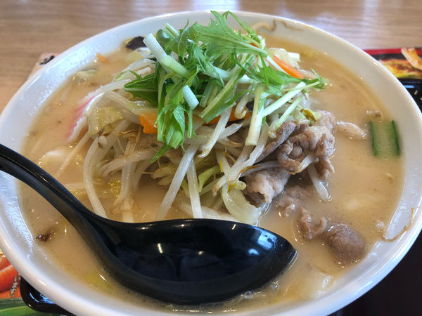 「濃厚タンメン780円+大盛100円」@埼玉タンメン 山田太郎 川島インター店の写真