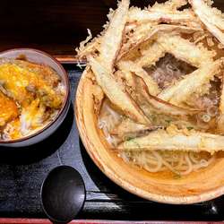 肉ごぼう天うどん+野菜天とじ丼
